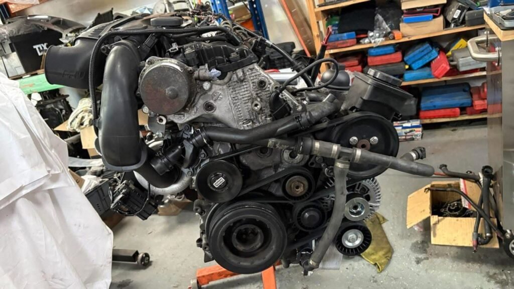 photo 5852496306855677050 y