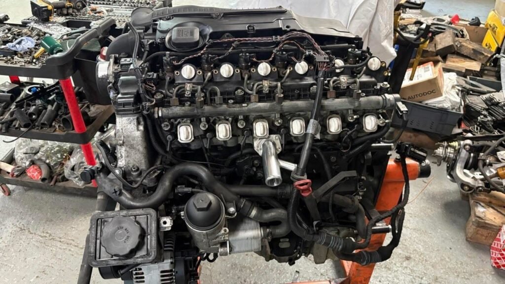 photo 5852496306855677052 y