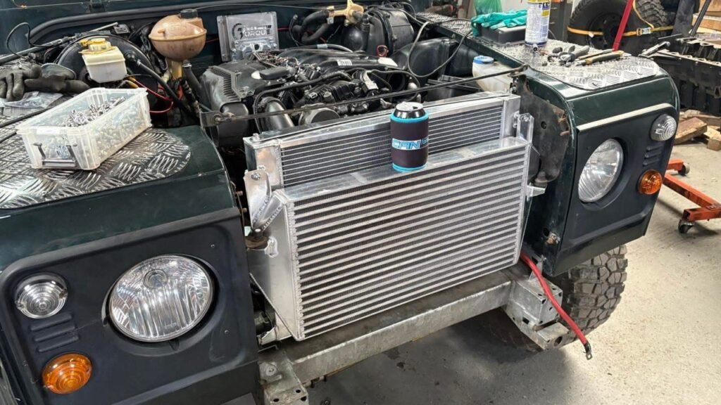 photo 5852496306855677059 y