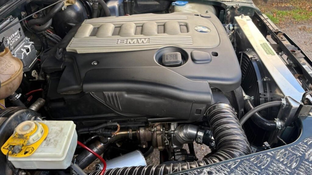 photo 5852496306855677070 y